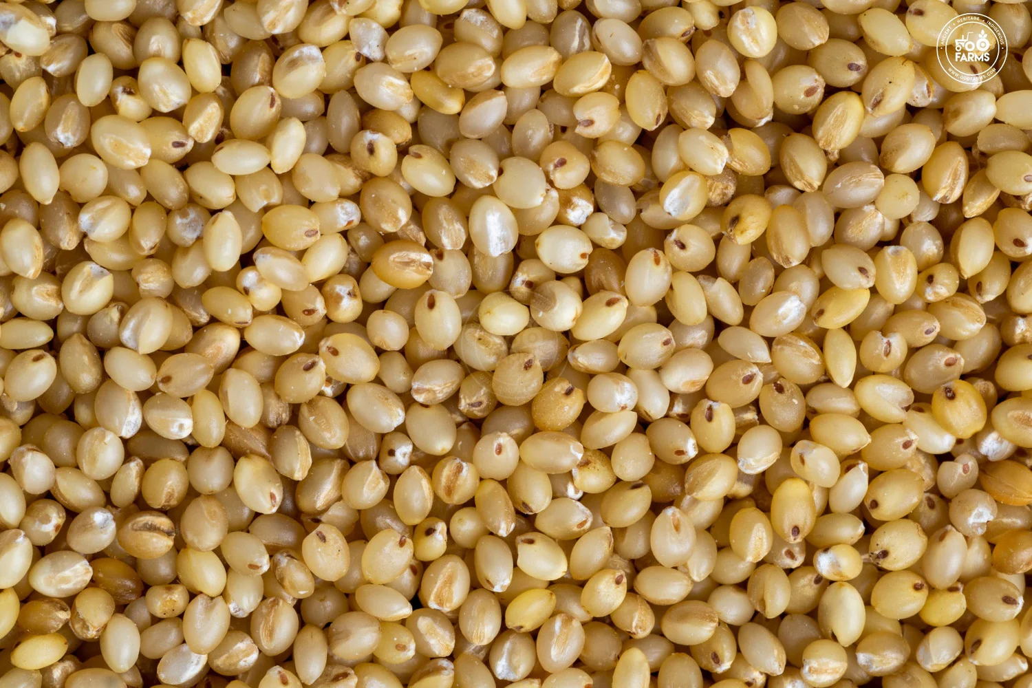 millet